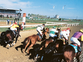 Woodbine Racetrack